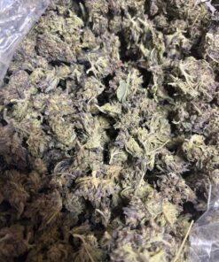 Buy Blue Haze (Sativa-Hybrid) 22%