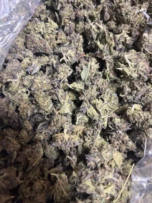 Buy Blue Haze (Sativa-Hybrid) 22%