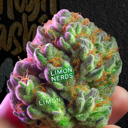 Buy Limon Nerds Premium Cannabis