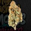 Buy Animal Mint Cake Smalls