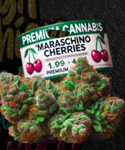 Buy Maraschino Cherries Premium Cannabis