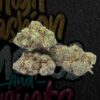 Buy Strawberry Shortcake 26% (Hybrid)