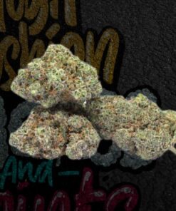 Buy Strawberry Shortcake 26% (Hybrid)