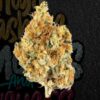 Buy Amaretto Sour 29% (Hybrid-Sativa)