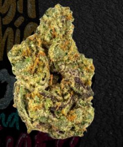 Buy Gary Payton 28% Sativa Dominant Hybrid