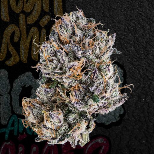 Buy White Cherry Gelato 28% (Hybrid)