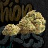 Buy Blue Runtz 28% (Hybrid)