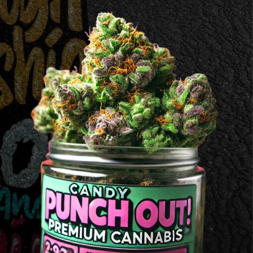 Buy Candy Punch Out! Premium Cannabis