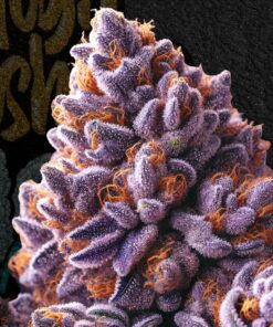 Buy Rare Candy Premium Cannabis