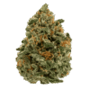 Buy Super Silver Haze